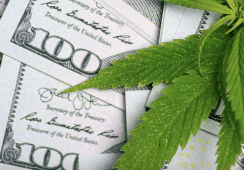 Youth Forward releases new report on Los Angeles cities and cannabis taxes